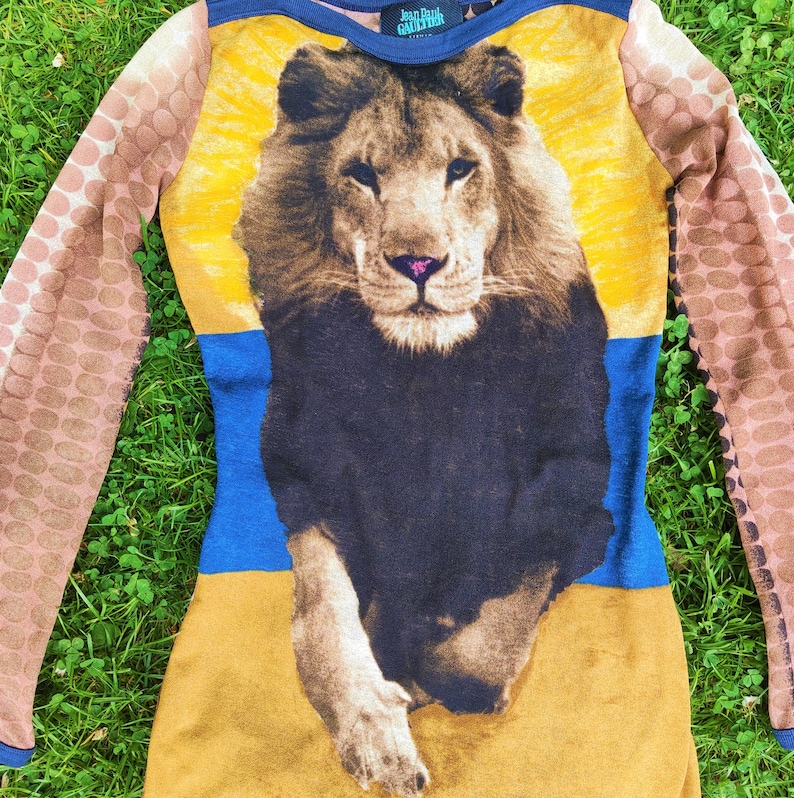 May include: A long-sleeved, brown, yellow, and blue knit sweater with a lion graphic and the text "Jean Paul Gaultier" on the front.
