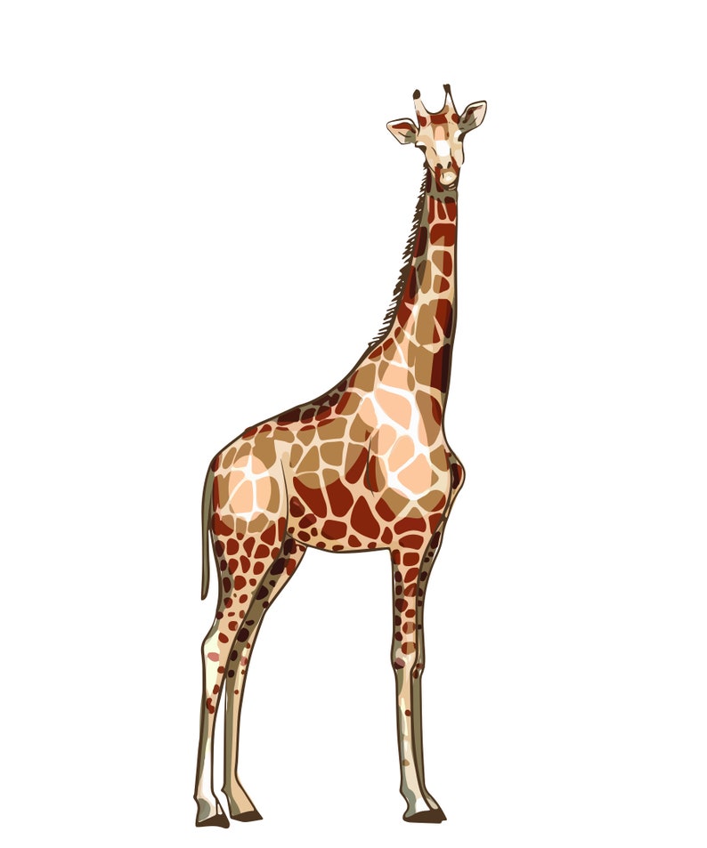 Giraffe Wall Decal for Safari Nursery Giraffe Wall Decor Etsy