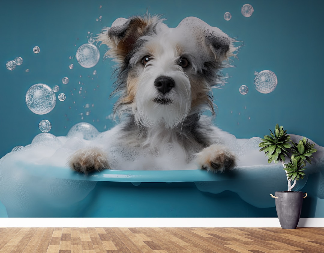 Exquisite Dog Groomers Decatur Il Photo for Your Screen Exquisite Dog Groomers Decatur Il Photo for Your Screen