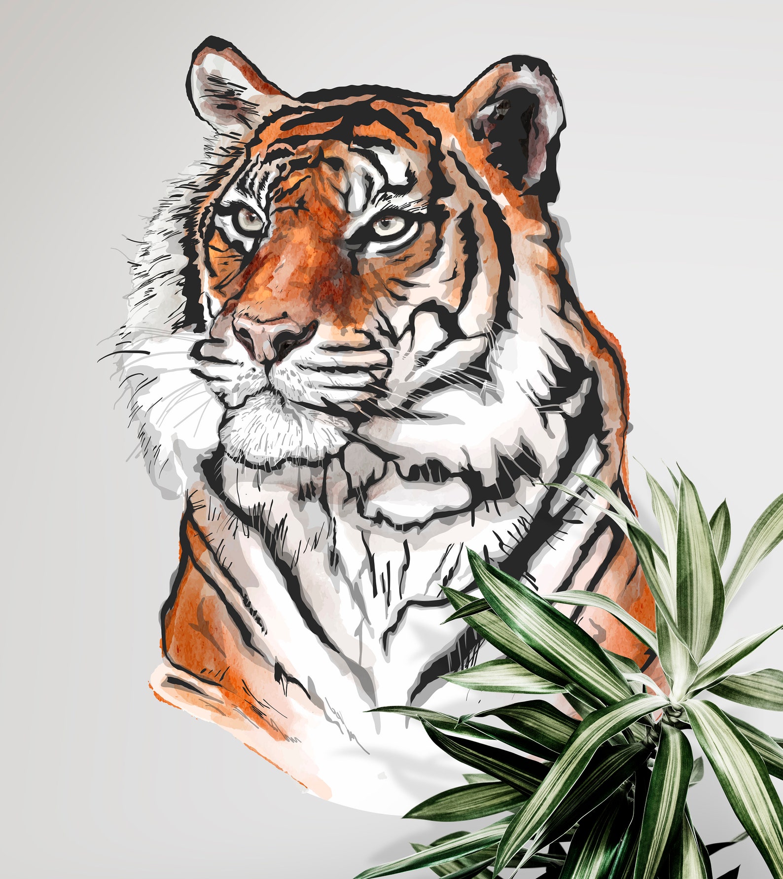 Tiger Wall Decal Tiger Wall Sticker Tiger Wall Decor TGC5 Etsy