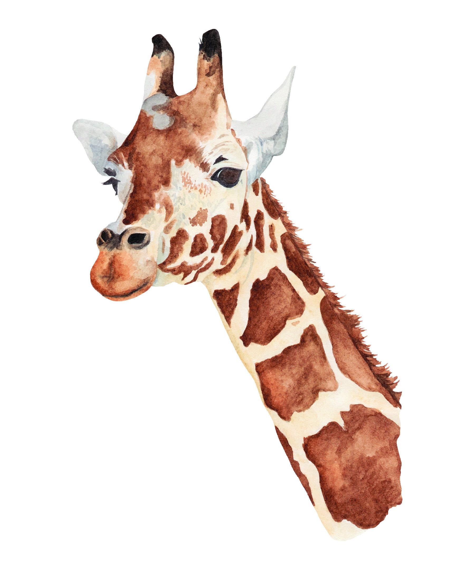 Giraffe Wall Decal for Safari Nursery Giraffe Wall Decor Etsy