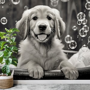 Pet Grooming Wall Graphics Peel and Stick Custom Wallpaper Dog Grooming Self Adhesive Removable Fabric Veterinary Clinic Mural PW409