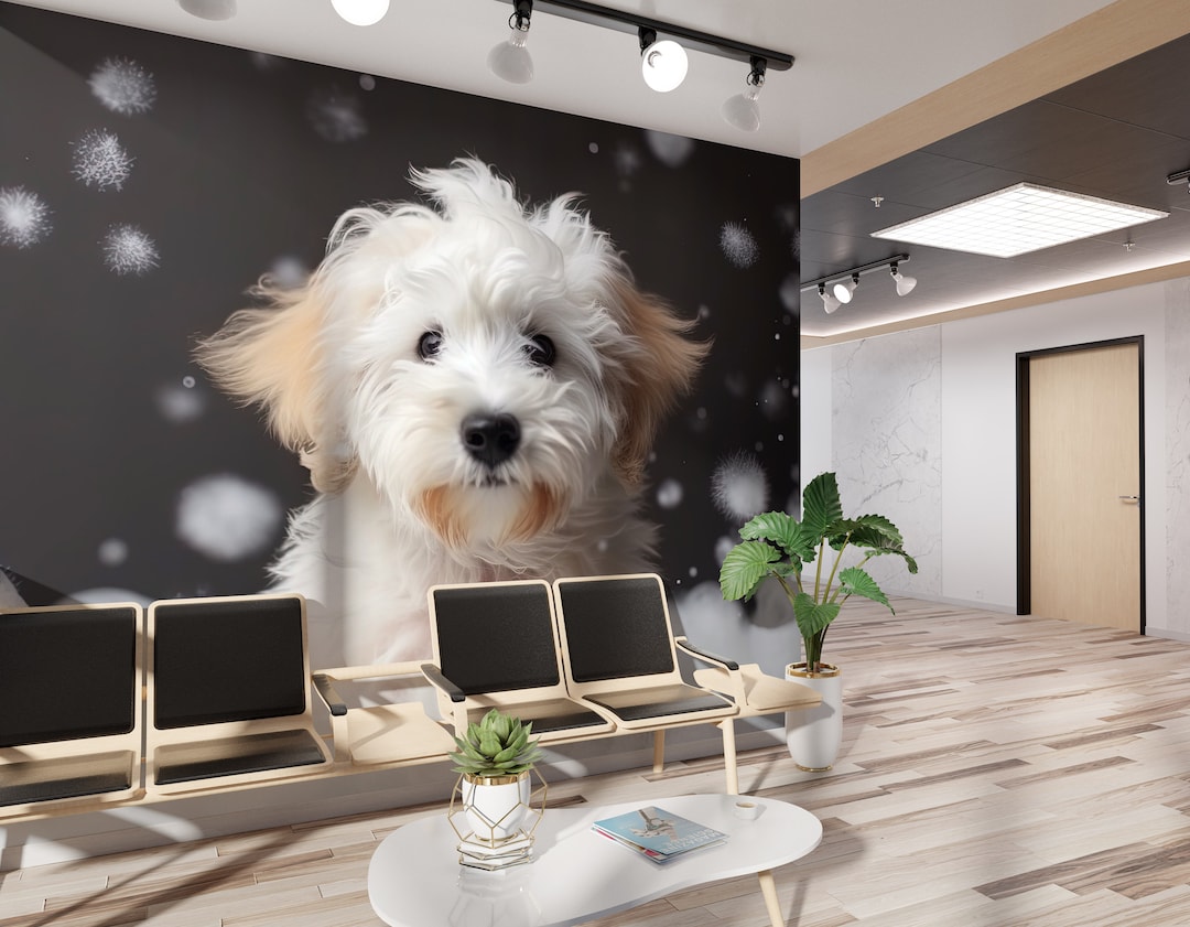 Exquisite Dog Groomers Decatur Il View Art Exquisite Dog Groomers Decatur Il View Art