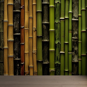 Green Bamboo Wallpaper | Peel & Stick Nature Mural | Restaurant Cafe Removable Wall Decor | PW464