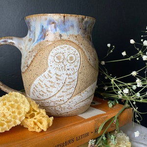 May include: A ceramic mug with a white owl design. The mug is brown with a speckled glaze and a blue rim. The mug is sitting on top of a stack of books. The top book has the title "Nancy's Mysterious Letter" printed on the cover.