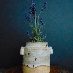 May include: A ceramic vase with a cream-colored top and a tan base, speckled with brown spots. The vase has two small handles and contains sprigs of purple lavender. The vase sits on a wooden surface against a dark blue background.