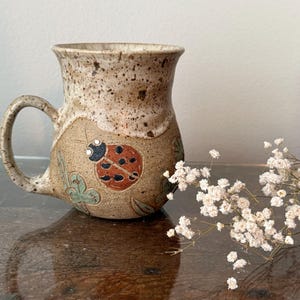 May include: A speckled ceramic mug with a ladybug design. The mug has a brown base with a cream-colored top and a curved handle. The ladybug is red with black spots and is surrounded by green leaves. A sprig of white flowers is in the background.