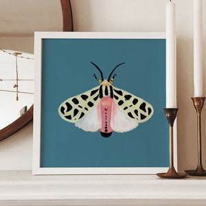 Tiger Moth Painting. Signed Art Print