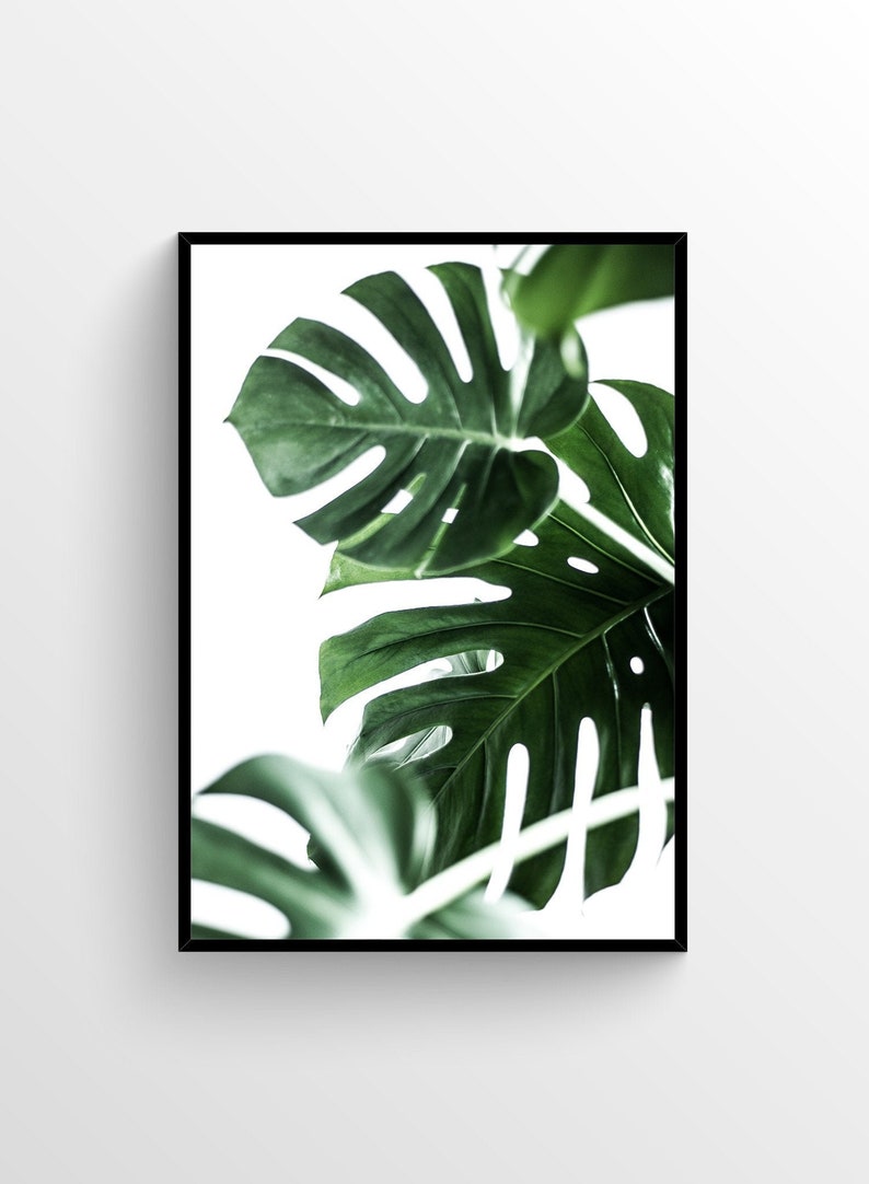 Wild Ways Poster