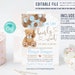 Editable Teddy Bear Baby Shower Invitation, Bear Themed Baby Shower Invite, Printable Bear with Balloons Baby Shower Invitations, Printable