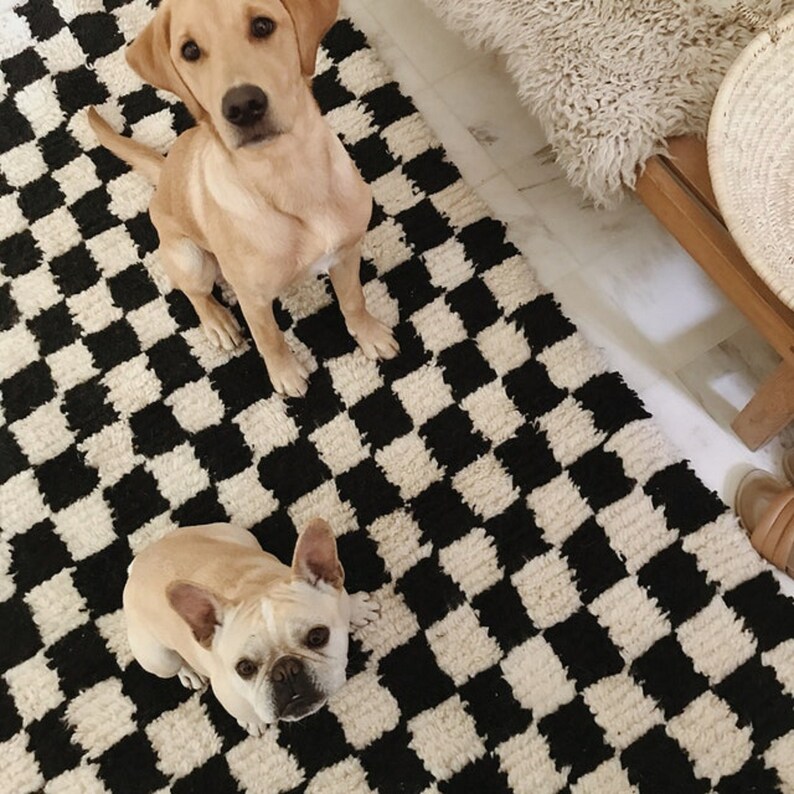 May include: Two dogs sitting on a black and white checkered rug. A light brown labrador retriever is sitting on the left side of the rug, looking directly at the camera. A smaller, light brown french bulldog is sitting on the right side of the rug, looking up at the camera.