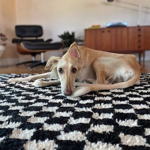 May include: A light brown dog with long, thin legs and a long tail is lying on a black and white checkered rug. The dog has its head resting on its paws and is looking at the camera.