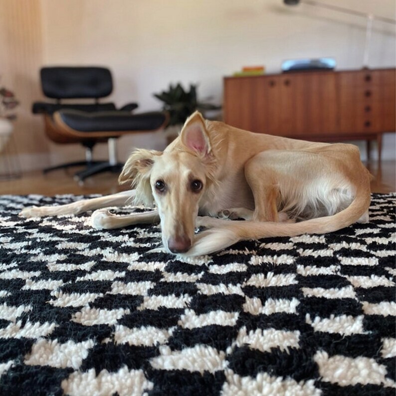 May include: A light brown dog with long, thin legs and a long tail is lying on a black and white checkered rug. The dog has its head resting on its paws and is looking at the camera.