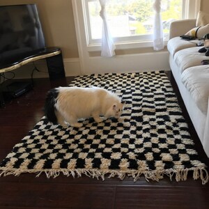 May include: A white and black checkered rug with a white cat with a black tail walking on it.