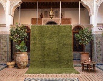 May include: A large, olive green rug with a shaggy texture. The rug is displayed in an outdoor setting with potted plants, a small table, and decorative architectural details. The rug has a fringe along the bottom edge.