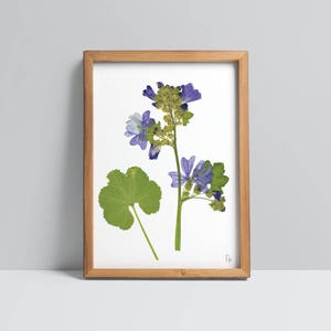 May include: A framed pressed flower art print featuring a purple flower with green leaves on a white background.