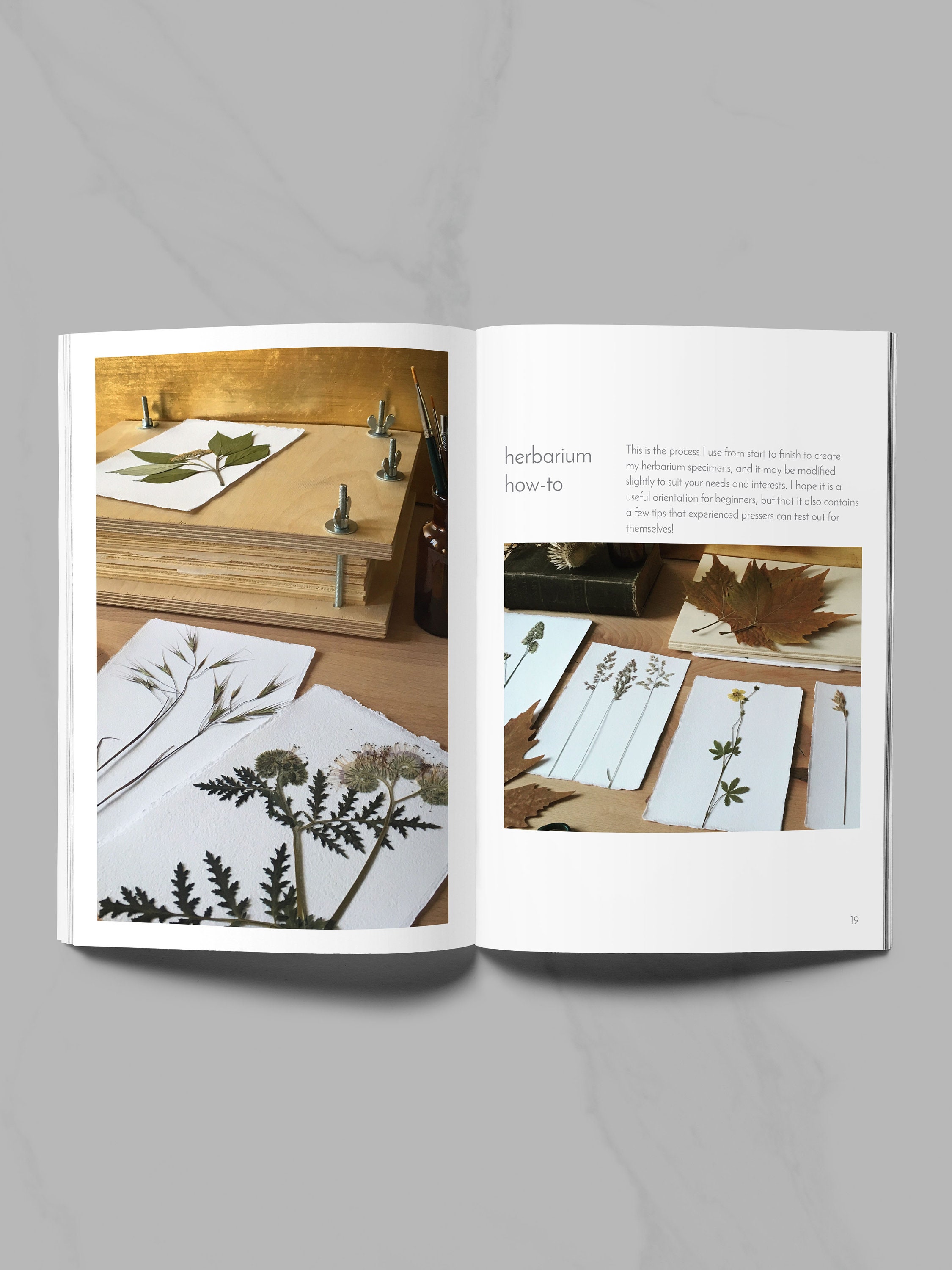 The Herbarium Handbook Digital Download imperial Etsy