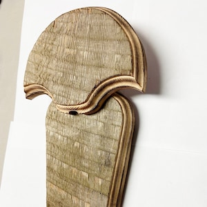 May include: A wooden wall mount for displaying a taxidermied animal head. The mount is made of natural wood with a rustic finish. It has a unique shape with a curved top and a rounded bottom.