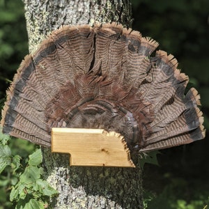 State Shaped Turkey Mount (SINGLE PANEL)