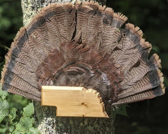 State Shaped Turkey Mount (SINGLE PANEL)