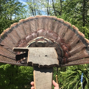 Barn Wood State Shaped Turkey Mount Plaque (ALL STATES)