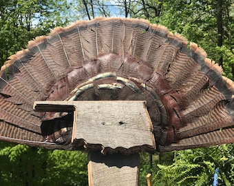 Barn Wood State Shaped Turkey Mount Plaquette (ALLE STATEN)