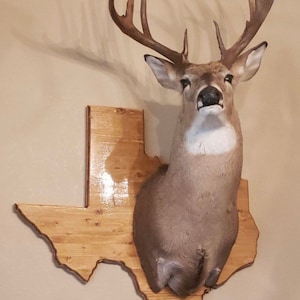 State Shaped Shoulder Mount Plaque