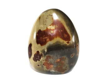 Ocean Jasper mineral Specimen  raw gift Madagascar Polychrome Jasper Freeform | Unique | Handcrafted Crystal Decor and Gift Idea