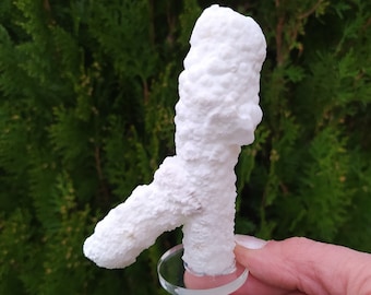 Op de afbeelding: Een witte, natuurlijk gevormde kristalkluster op een heldere acrylstandaard. De kristal heeft een unieke, vertakte vorm.