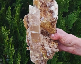 Puede incluir: Un gran cúmulo de cristal de selenita en bruto con una matriz marrón terrosa natural. El cristal es translúcido y tiene un ligero tono dorado. El cúmulo mide aproximadamente 15 cm de alto.