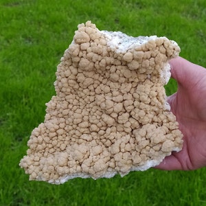 Seltener gelber Botryoid Calcit, großer Stein, griechisches Mineral, Rohkristall, selten,Heilstein