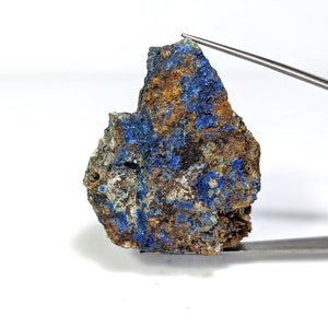 May include: A rough, dark brown rock with patches of bright blue azurite mineral. The rock is about the size of a small hand.