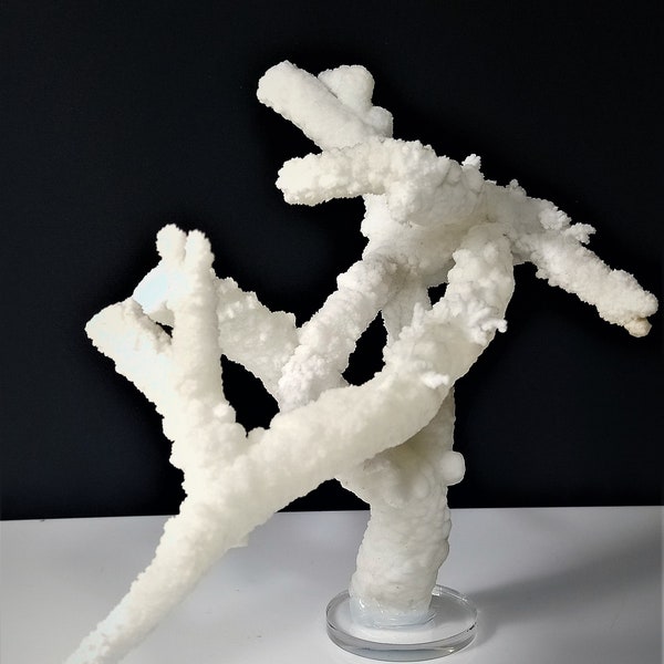 Aragonite corail blanc Cristaux Flos Ferri Minéral grec Pierre de guérison