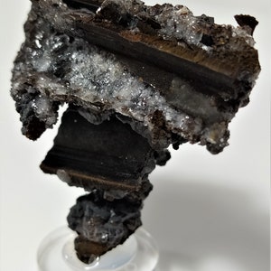 May include: A dark brown and black mineral specimen with white crystals. The specimen is on a clear display stand.