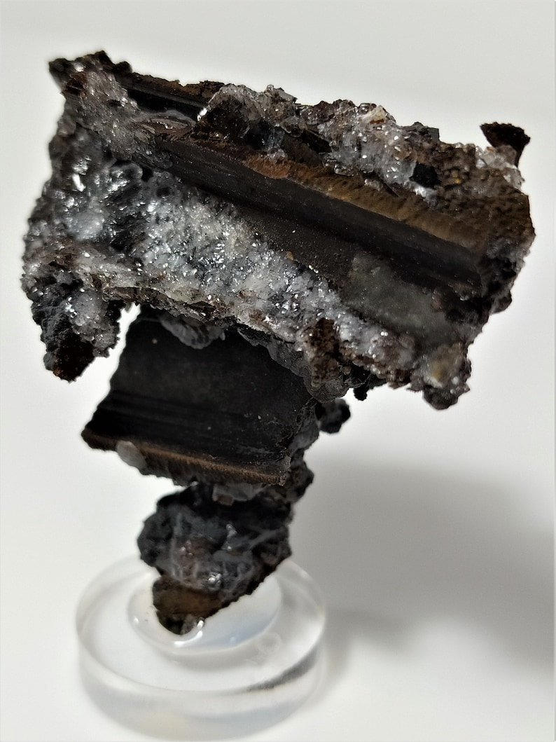 May include: A dark brown and black mineral specimen with white crystals. The specimen is on a clear display stand.