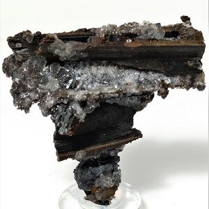 May include: A dark brown and black mineral specimen with white crystals on a clear acrylic stand. The mineral has a layered, striated texture.