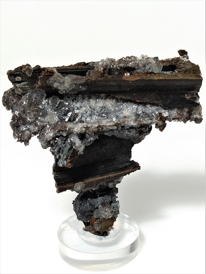 May include: A dark brown and black mineral specimen with white crystals on a clear acrylic stand. The mineral has a layered, striated texture.