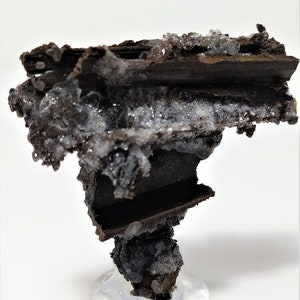 May include: A dark brown and gray mineral specimen with white crystals. The specimen is on a clear display stand.