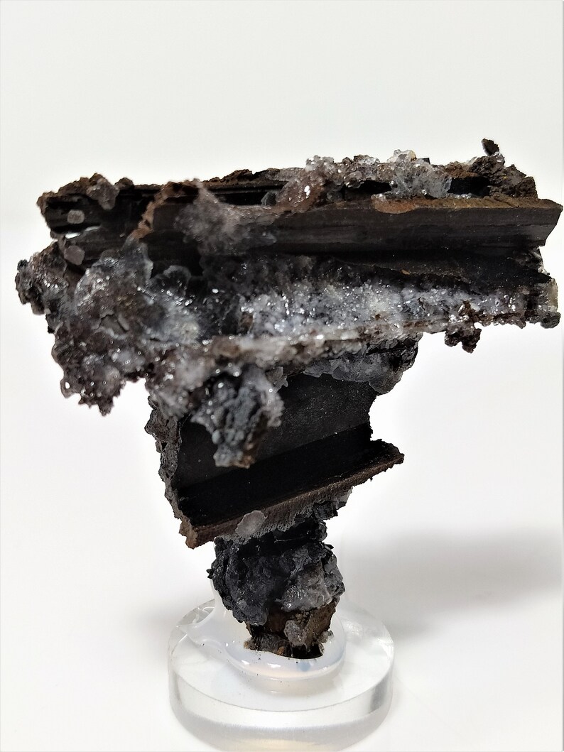 May include: A dark brown and gray mineral specimen with white crystals. The specimen is on a clear display stand.