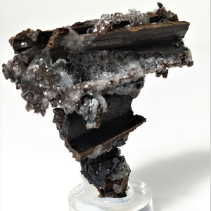 May include: A dark brown and gray mineral specimen with white crystals. The specimen is mounted on a clear acrylic base.