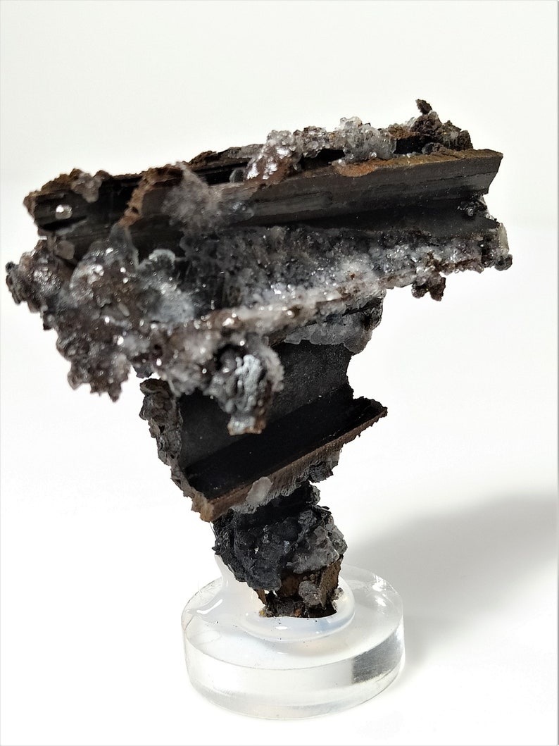 May include: A dark brown and gray mineral specimen with white crystals. The specimen is mounted on a clear acrylic base.