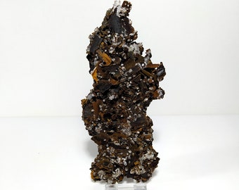 Puede incluir: Un espécimen mineral marrón y blanco con una textura rugosa y en capas. El espécimen está en un soporte de acrílico transparente.