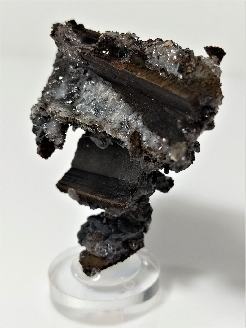 May include: A dark brown, metallic, rock-like formation with a rough, textured surface. The formation is covered in small, white, crystalline formations. The rock is displayed on a clear, round stand.