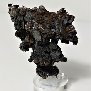 May include: A dark gray and brown mineral specimen with a rough, textured surface. The specimen is displayed on a clear acrylic stand.