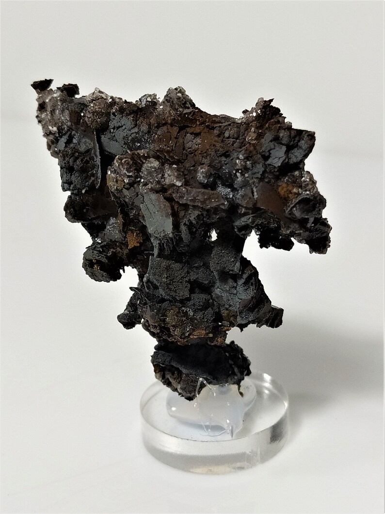 May include: A dark gray and brown mineral specimen with a rough, textured surface. The specimen is displayed on a clear acrylic stand.