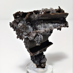 May include: A dark brown and silver mineral specimen with a unique, abstract shape. The mineral is displayed on a clear acrylic stand.