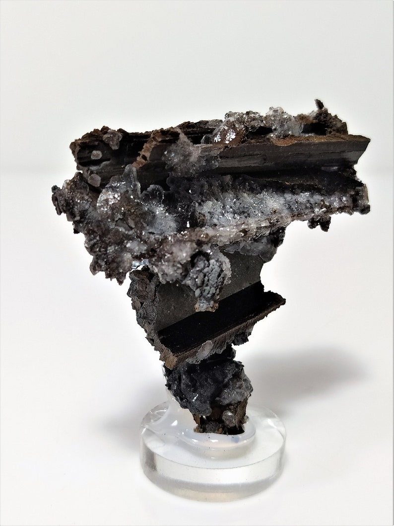 May include: A dark brown and silver mineral specimen with a unique, abstract shape. The mineral is displayed on a clear acrylic stand.
