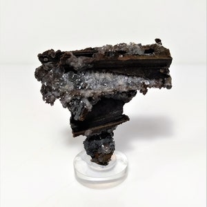 May include: A dark brown and black mineral specimen with white crystals on a clear acrylic stand. The mineral has a rough, textured surface.