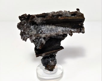 Puede incluir: Un espécimen mineral de color marrón oscuro y negro con cristales blancos sobre un soporte de acrílico transparente. El mineral tiene una superficie rugosa y texturizada.