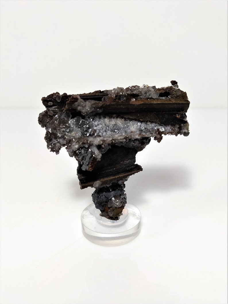 May include: A dark brown and black mineral specimen with white crystals on a clear acrylic stand. The mineral has a rough, textured surface.